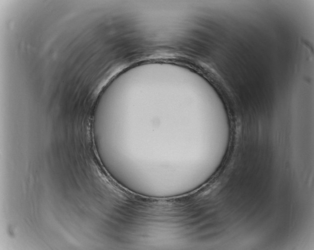 X0000099541409200805160738