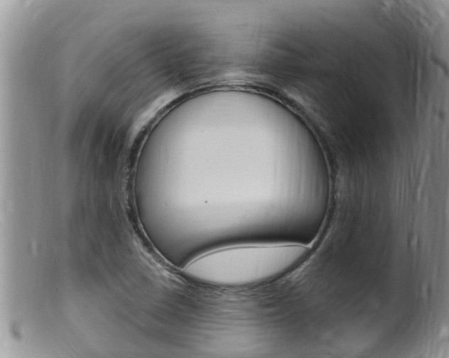 X0000099541410200805160738