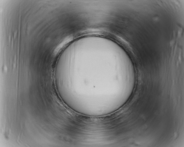 X0000099541411200805160738