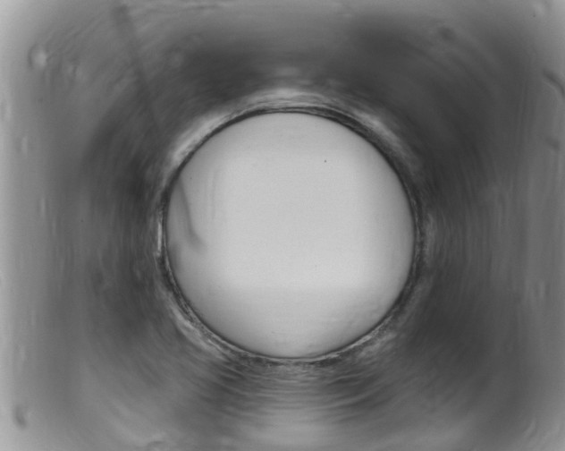 X0000099541413200805160738