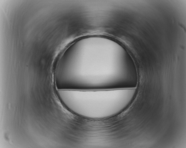 X0000099541414200805160738