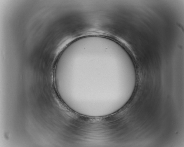 X0000099541415200805160738