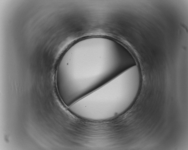 X0000099541416200805160738