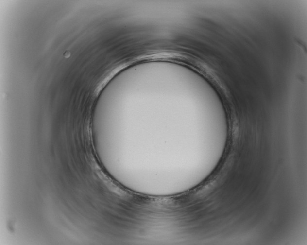 X0000099541417200805160738