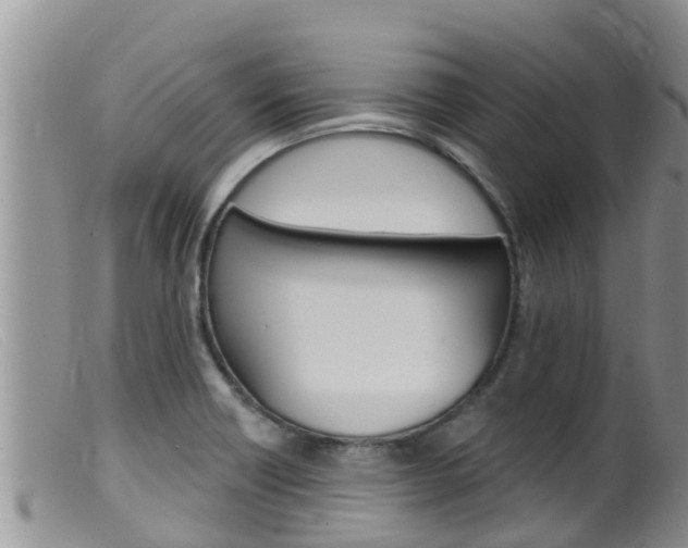 X0000099541418200805160738