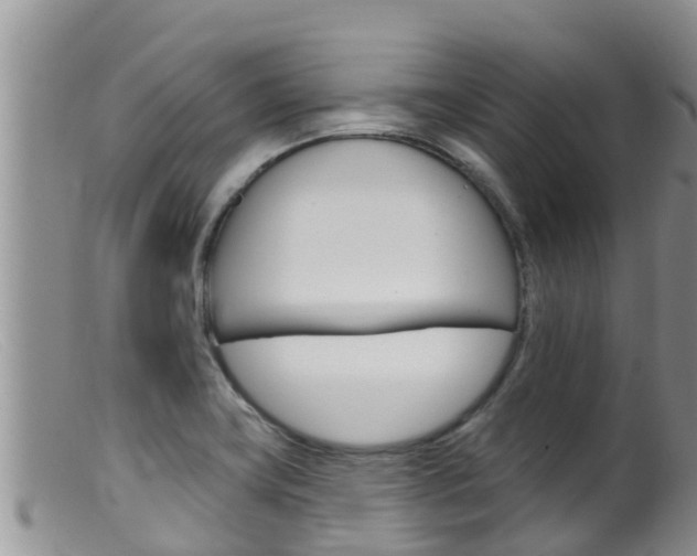 X0000099541419200805160738