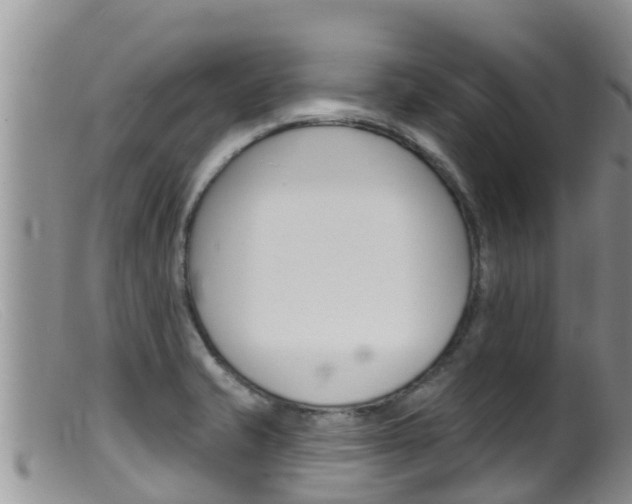 X0000099541421200805160738