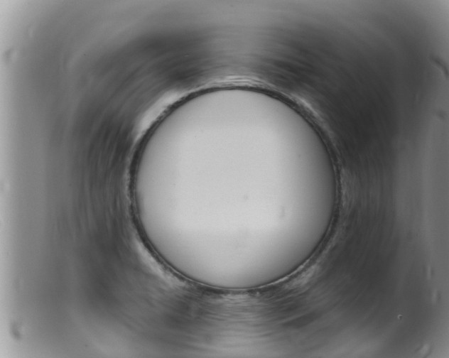 X0000099541422200805160738