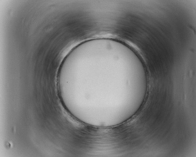 X0000099541423200805160738