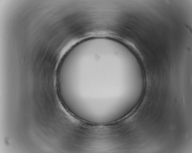 X0000099541424200805160738