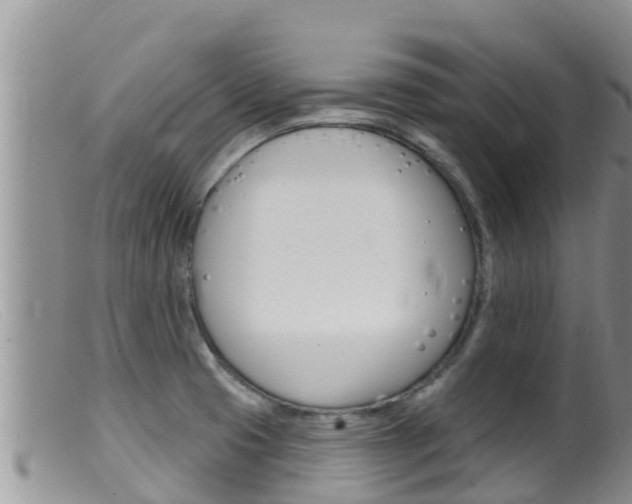 X0000099541425200805160738