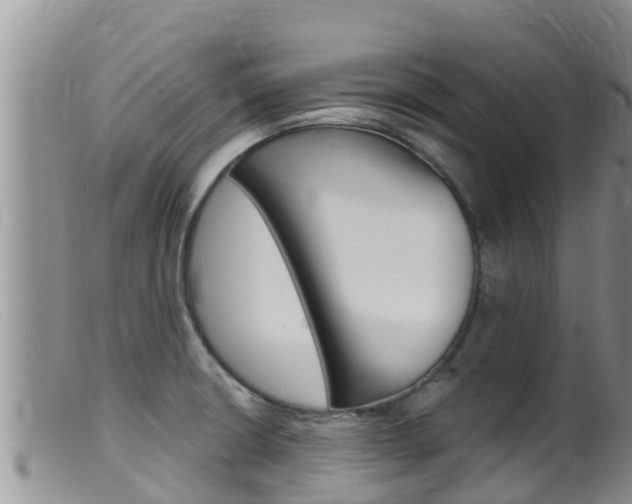 X0000099541426200805160738