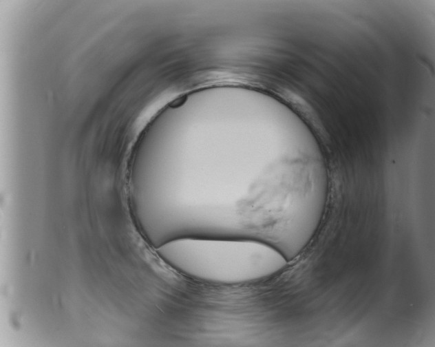 X0000099541427200805160738
