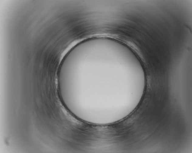 X0000099541428200805160738