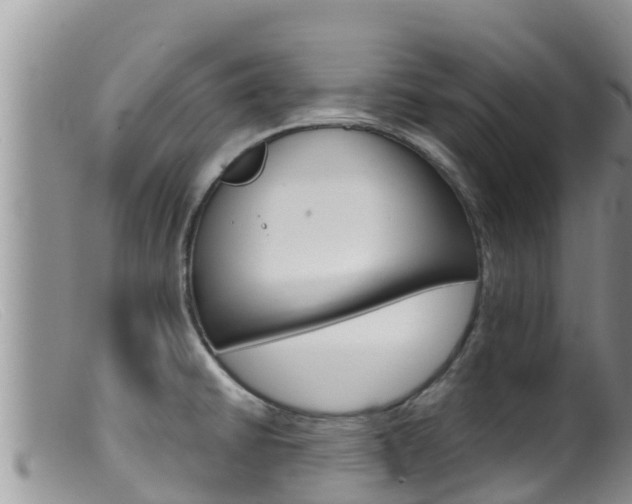 X0000099541430200805160738