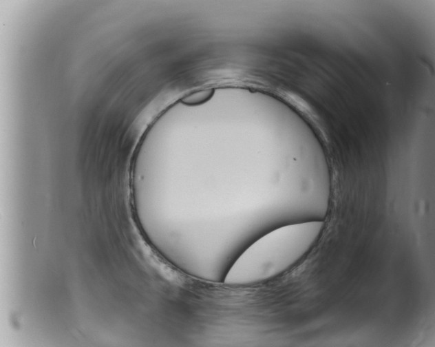 X0000099541431200805160738