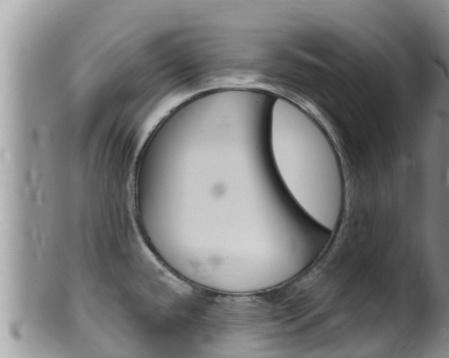 X0000099541432200805160738
