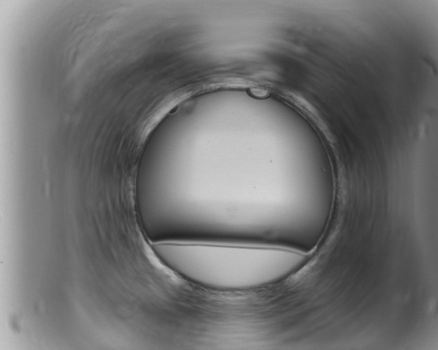 X0000099541433200805160738