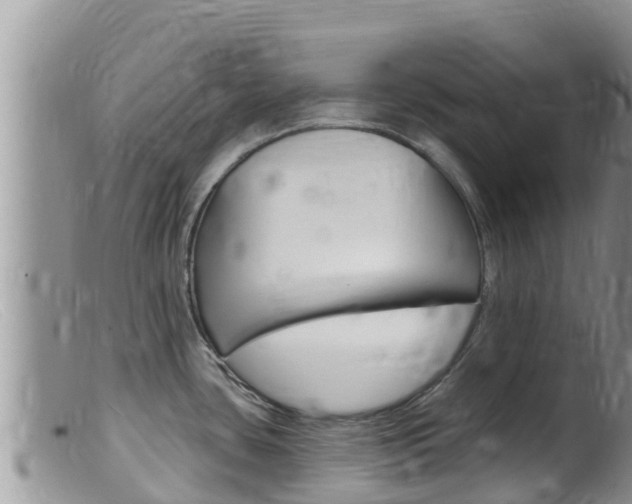 X0000099541435200805160738