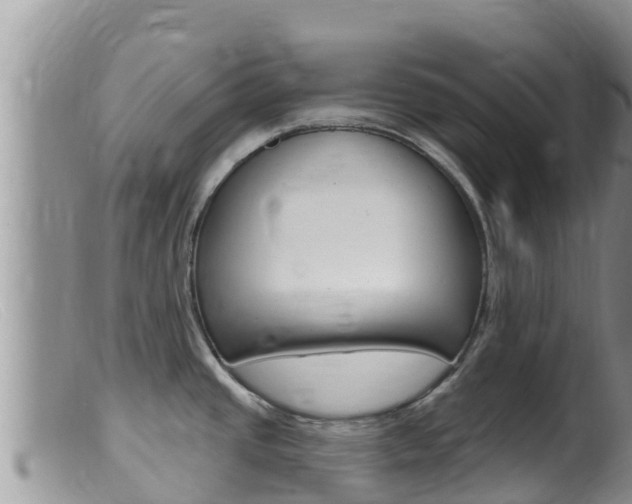 X0000099541437200805160738