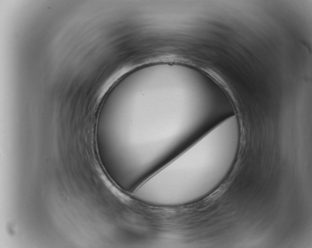 X0000099541438200805160738