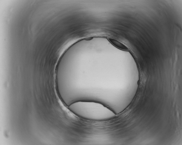 X0000099541439200805160738