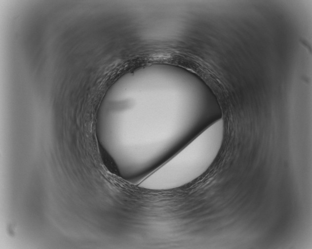 X0000099541441200805160737