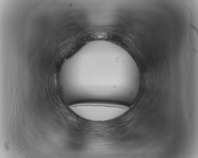X0000099541442200805160737