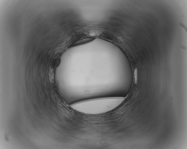 X0000099541443200805160737