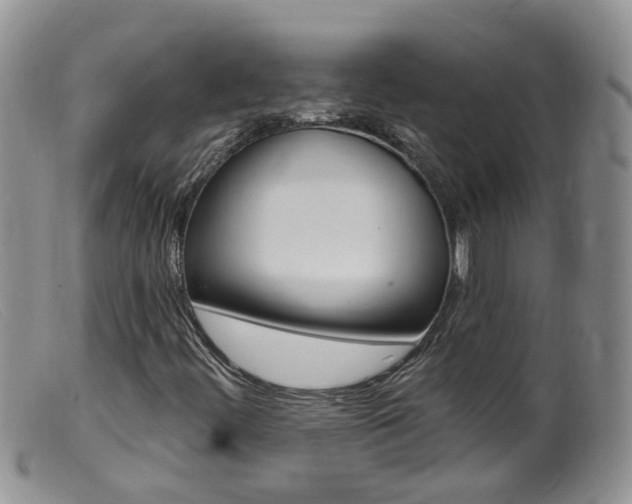 X0000099541444200805160737