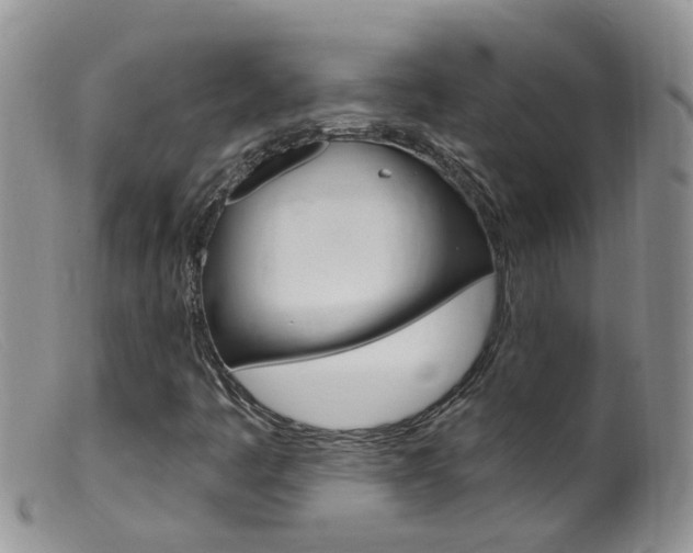 X0000099541445200805160737