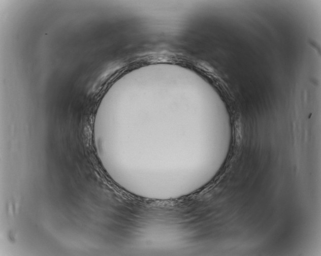 X0000099541446200805160737