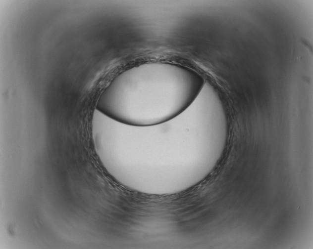 X0000099541447200805160737