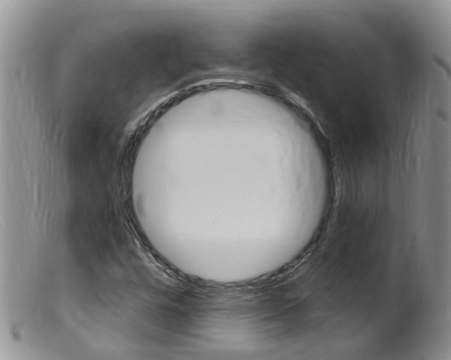 X0000099541448200805160737