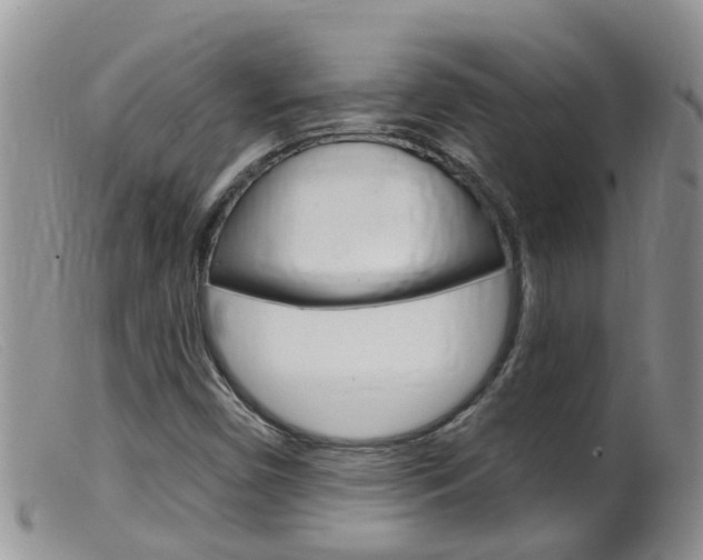 X0000099541450200805160737