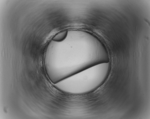 X0000099541451200805160737