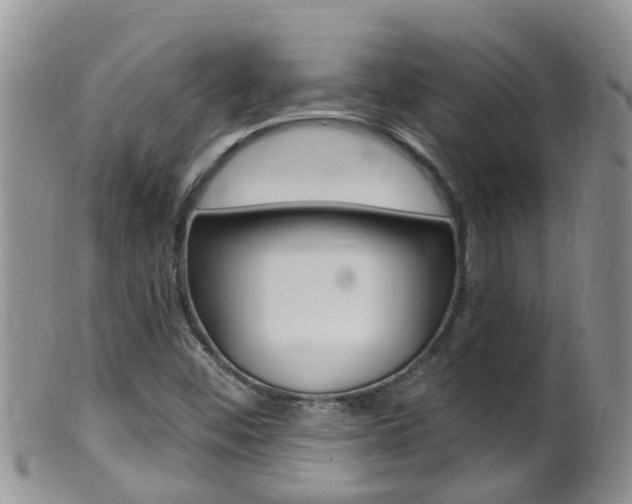 X0000099541452200805160737