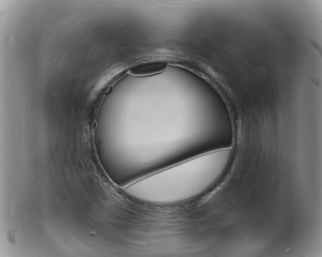 X0000099541453200805160737