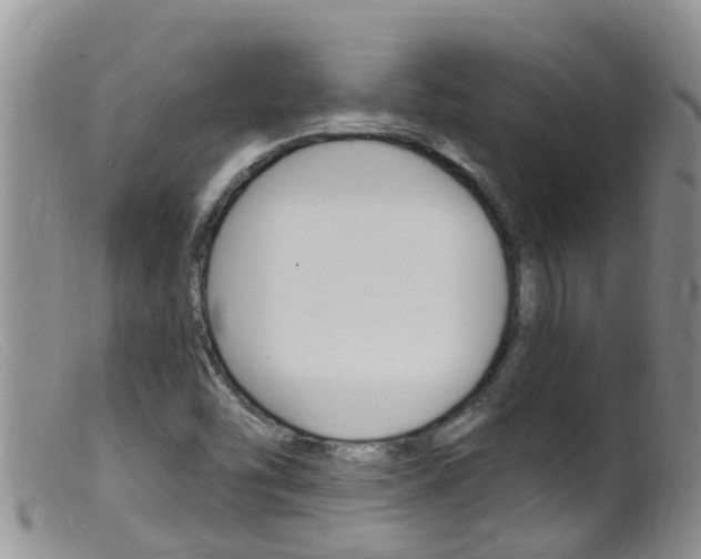 X0000099541454200805160737