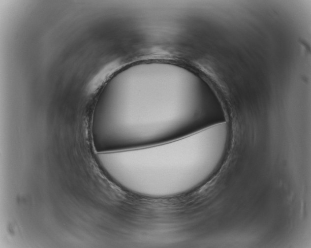 X0000099541455200805160737