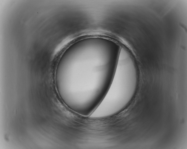 X0000099541456200805160737