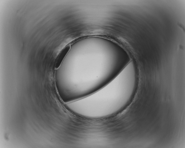 X0000099541457200805160737