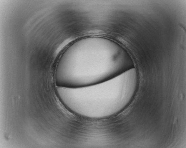 X0000099541458200805160737