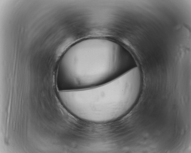 X0000099541459200805160737