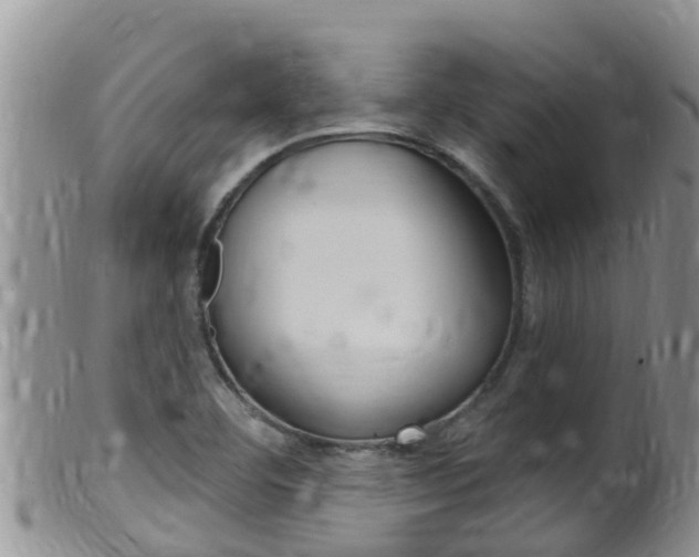 X0000099541460200805160737