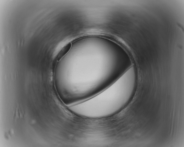X0000099541461200805160737