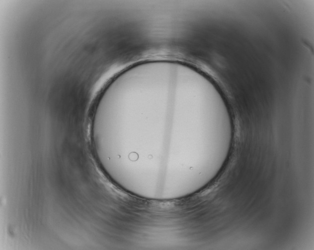 X0000099541462200805160737