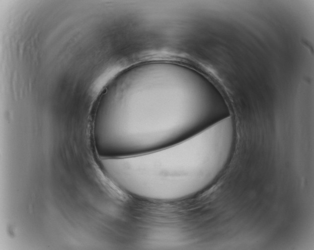 X0000099541463200805160737