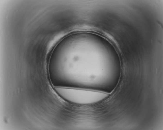 X0000099541464200805160737