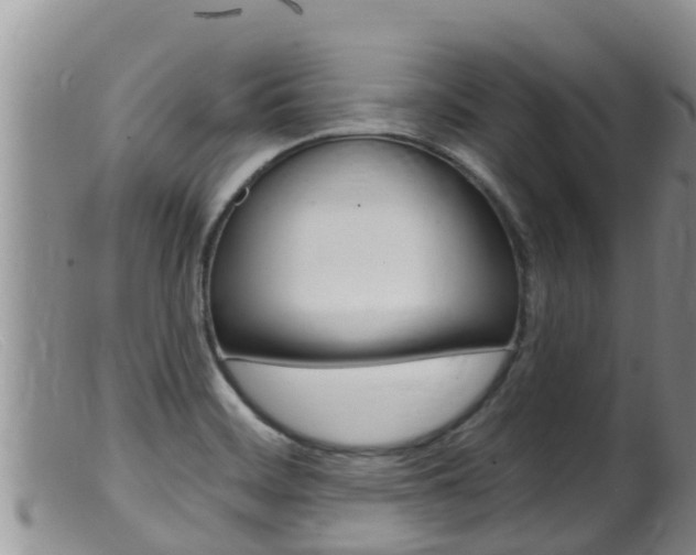 X0000099541468200805160737
